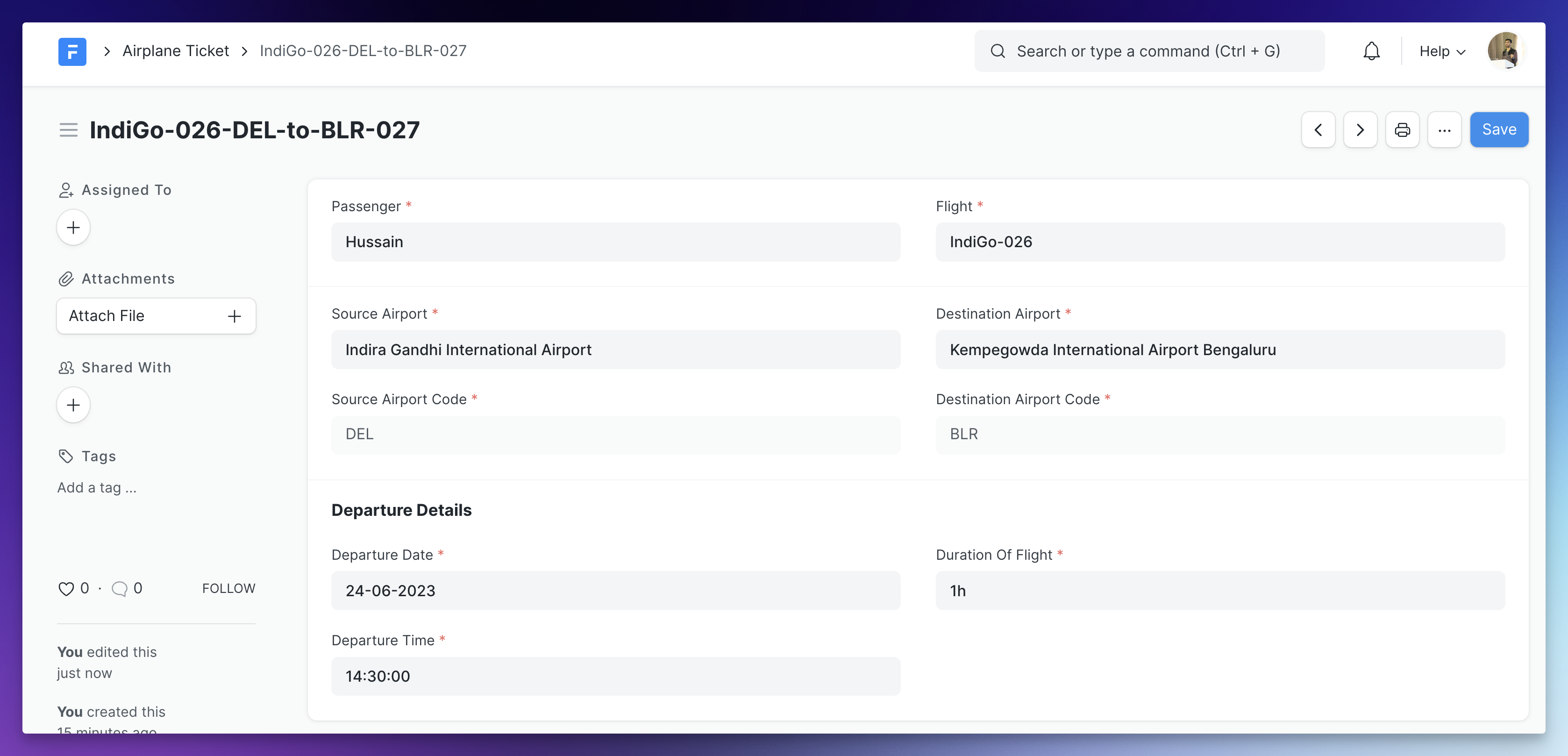 Airplane Ticket Form View