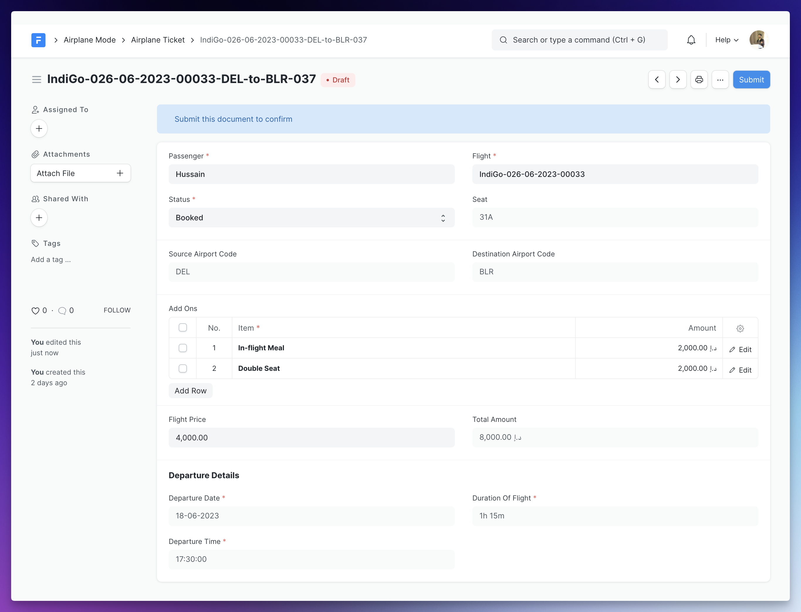 Airplane Ticket Form View