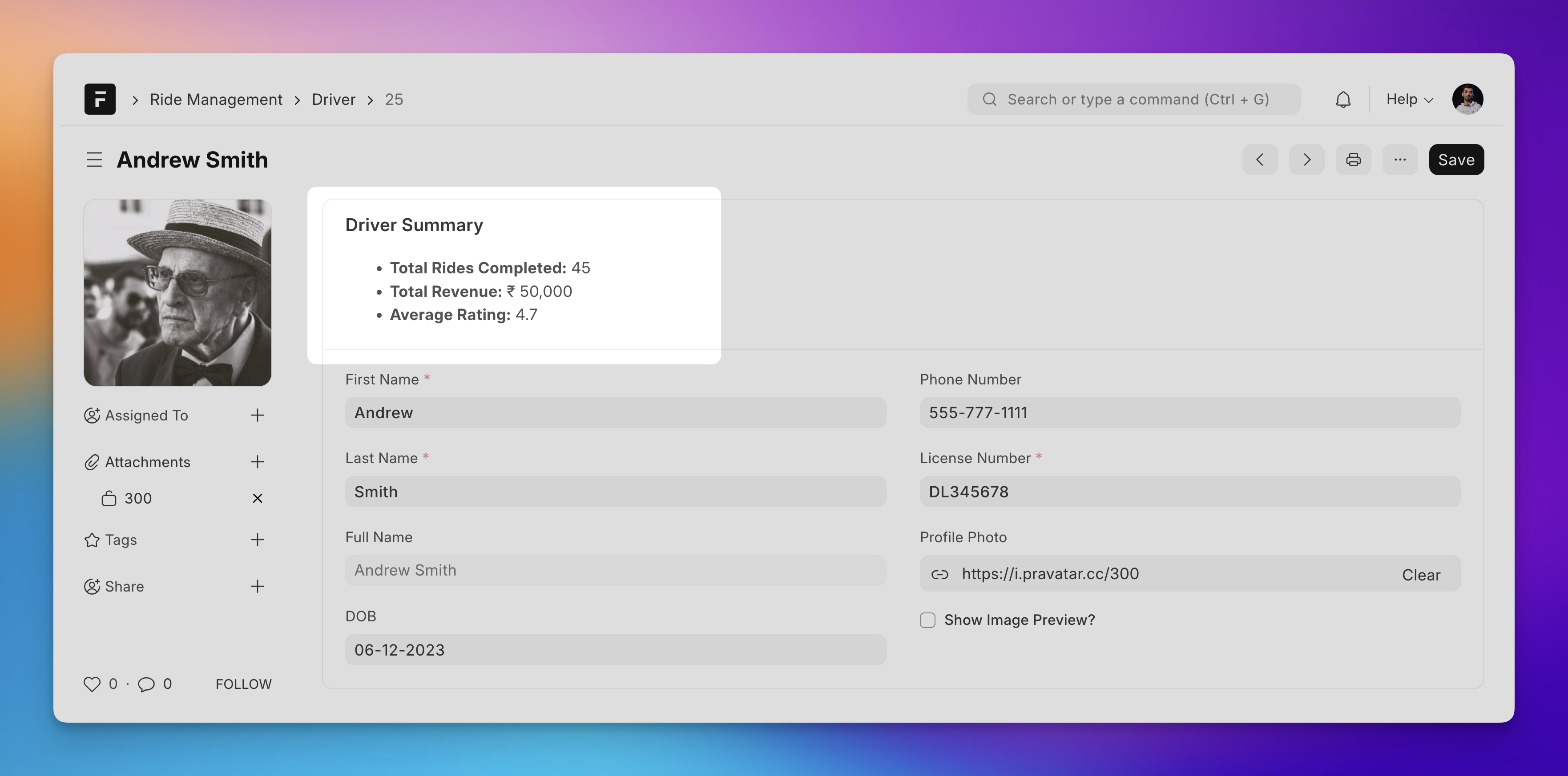 Screenshot showing driver summary in Driver DocType&#x27;s form view