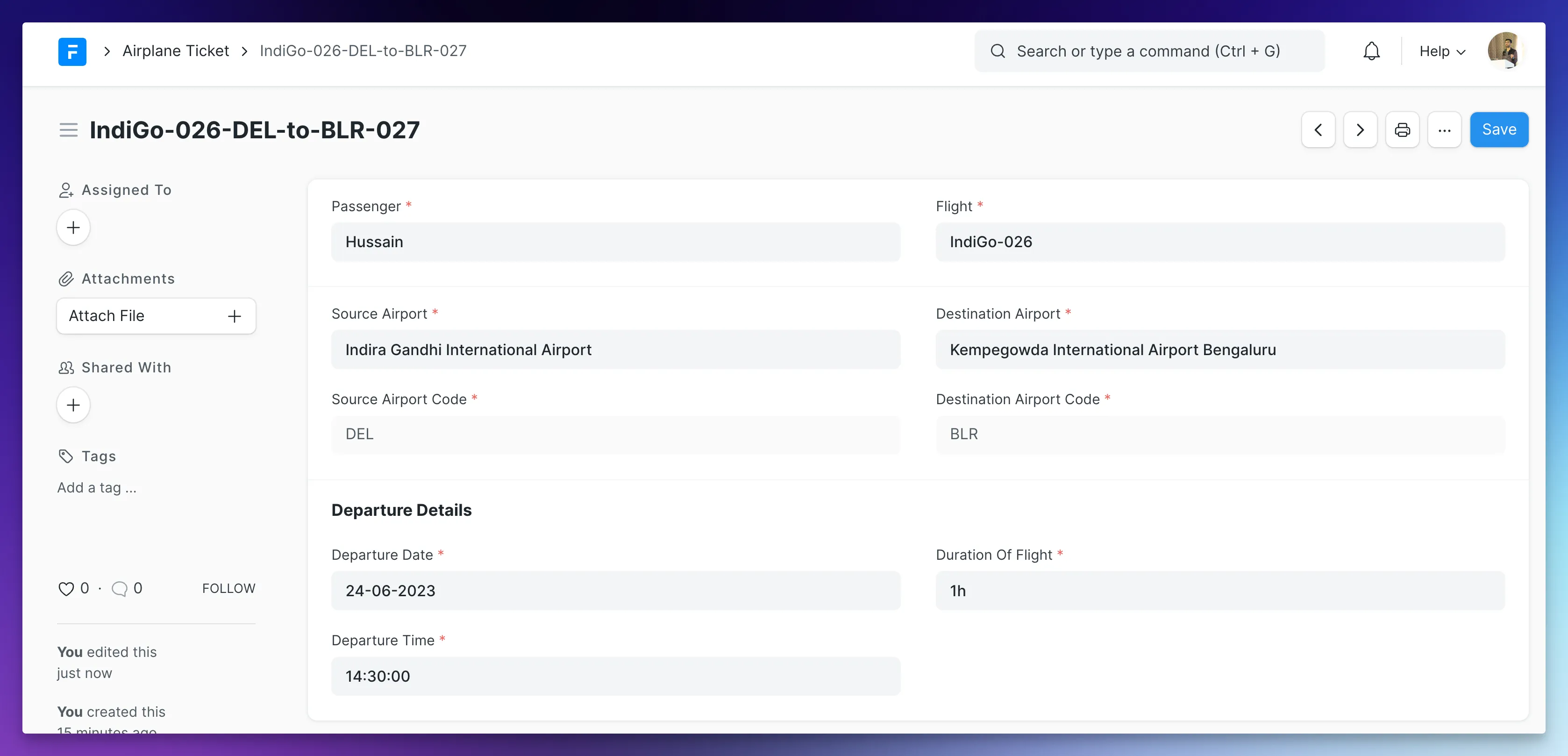 Airplane Ticket Form View